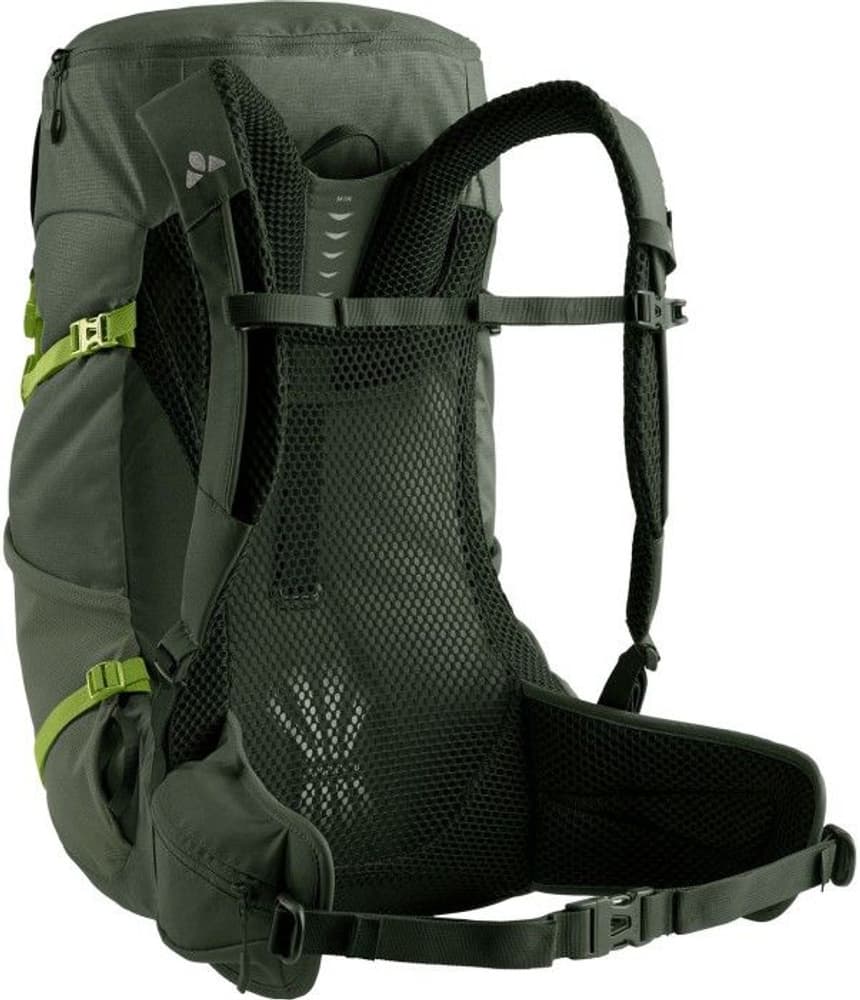 Brenta 30 Olive, view: 1