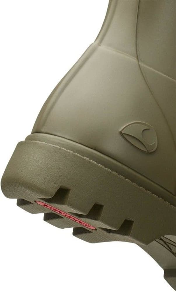 W's Noble Olive, view: 3