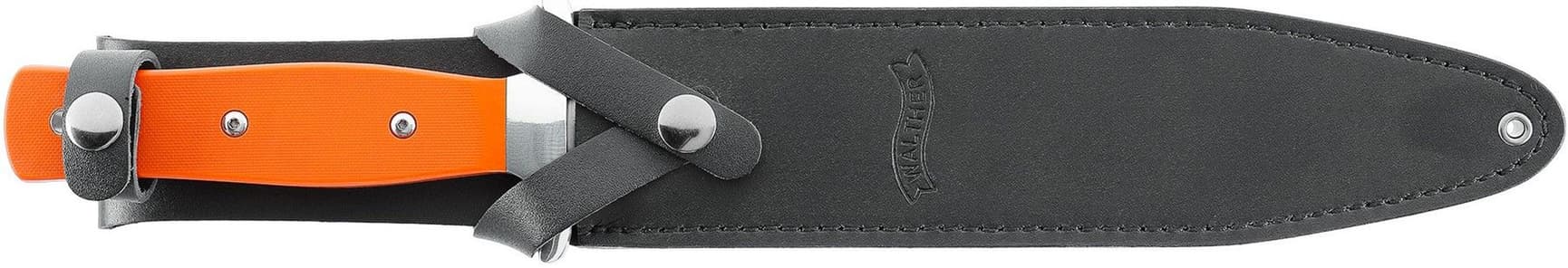 Boar Hunter, view: 3