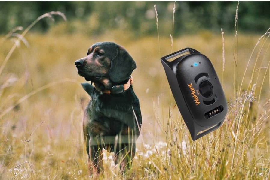 GPS Dog Tracker II, view: 0