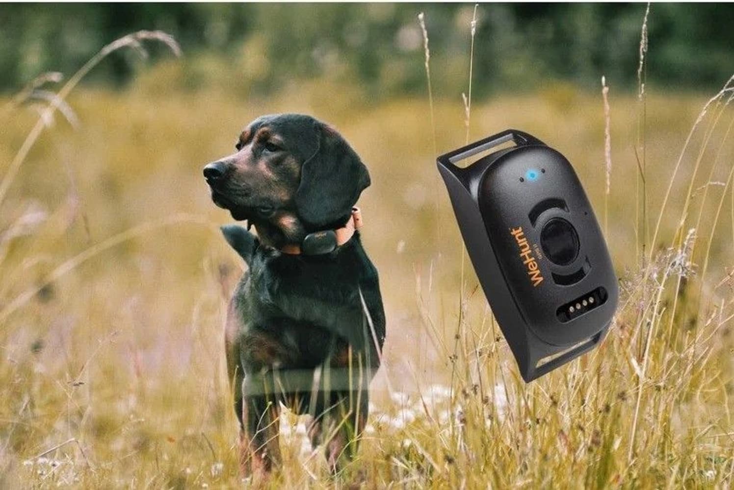 GPS Dog Tracker II (skönhetsfel), view: 0