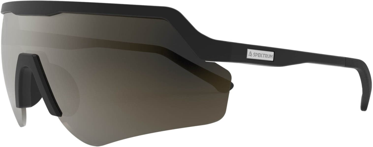 Blankster Black Polarized, view: 0