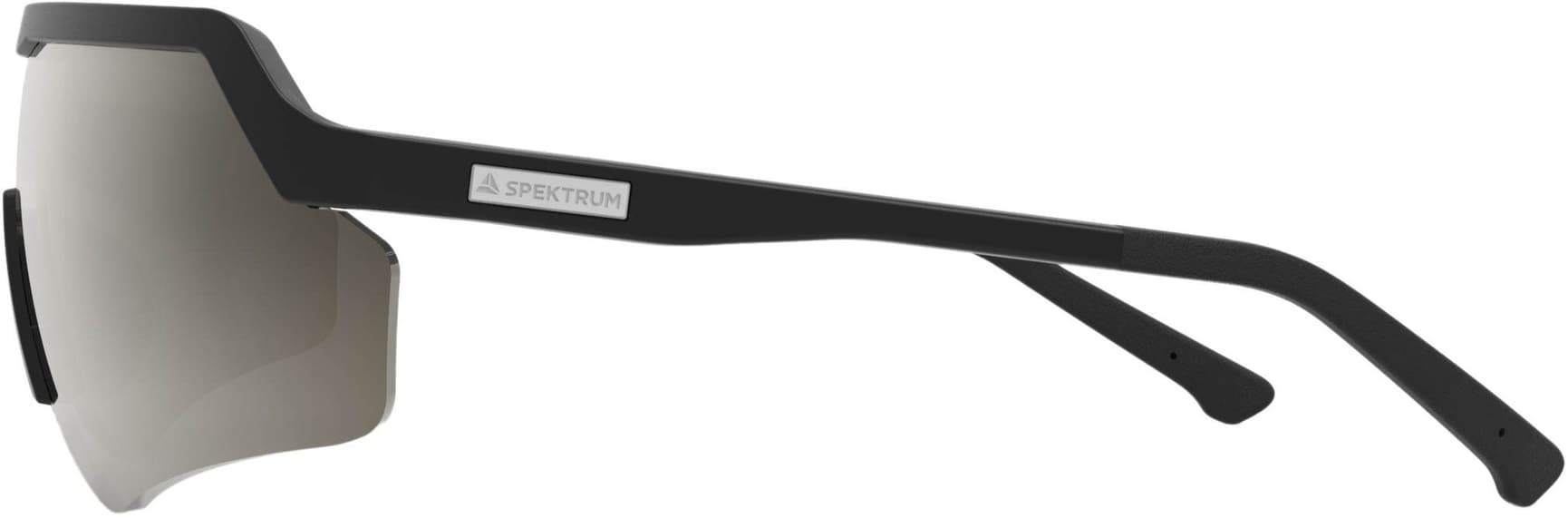 Blankster Black Polarized, view: 2