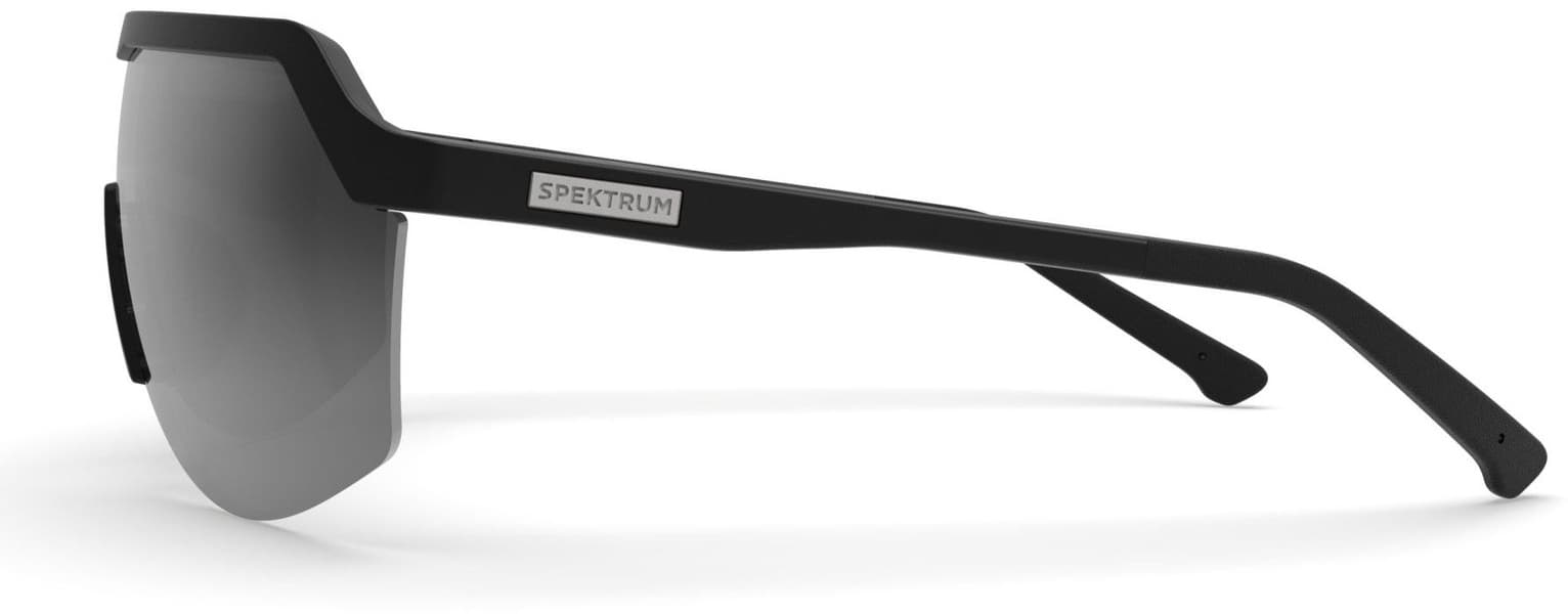 Blank Sunglasses Black with Grey Lens, view: 1