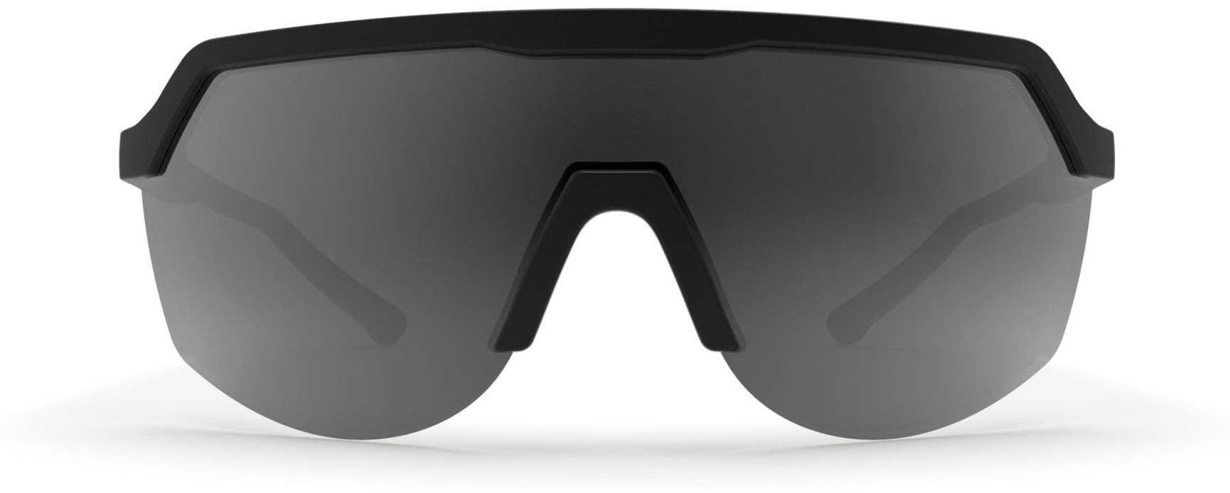 Blank Sunglasses Black with Grey Lens, view: 3