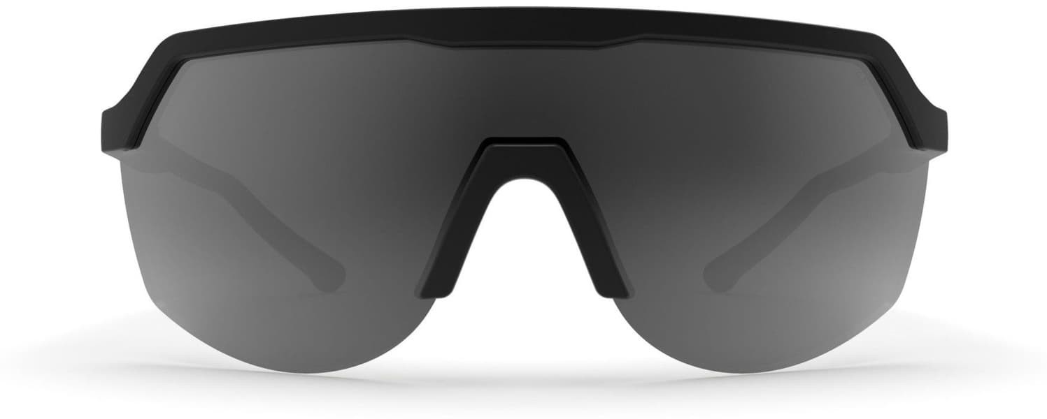 Blank Sunglasses Black with Grey Lens, view: 3