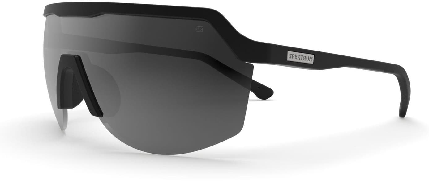 Blank Sunglasses Black with Grey Lens, view: 0