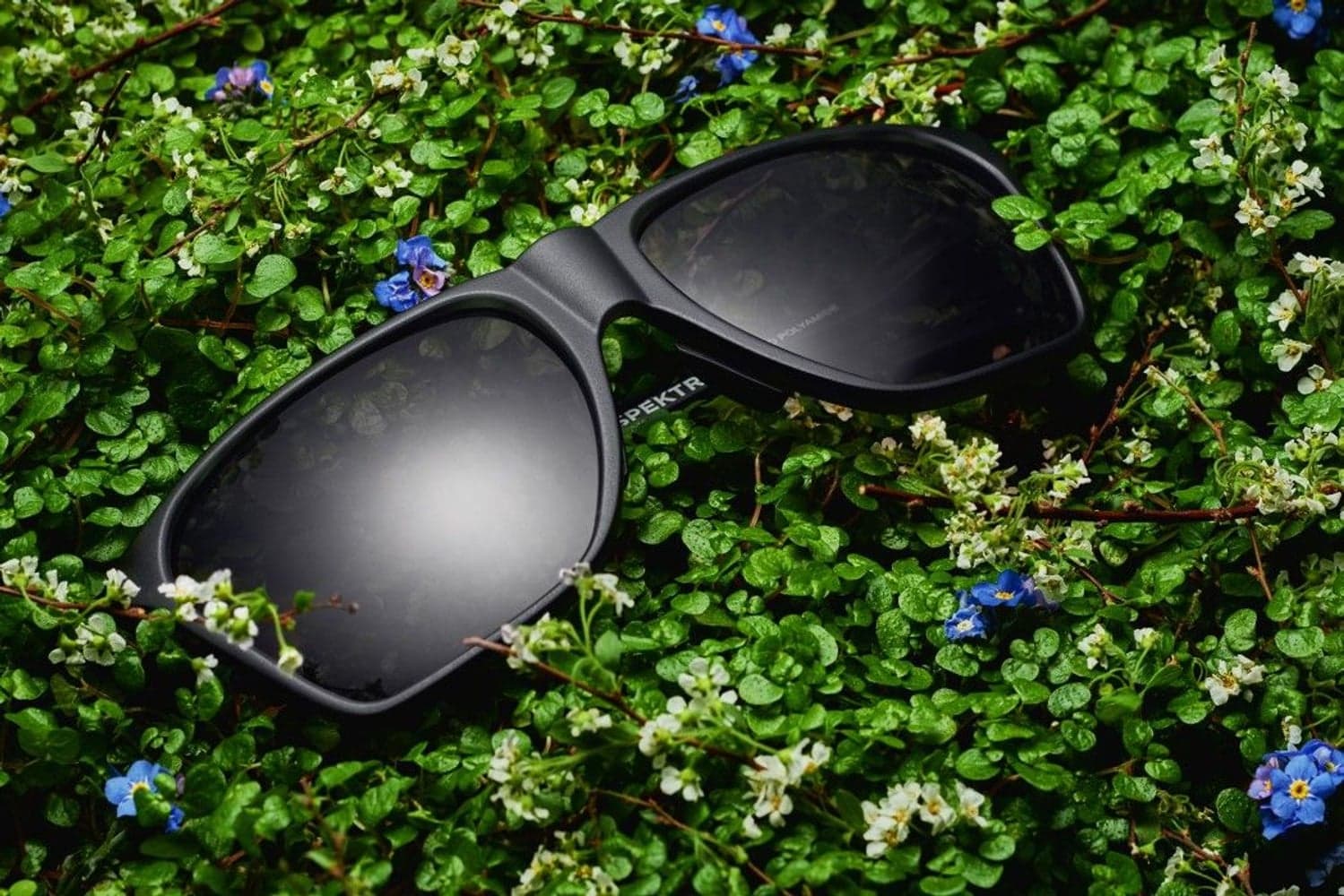 Anjan Sunglasses Moss Green with Gold Lens, view: 8