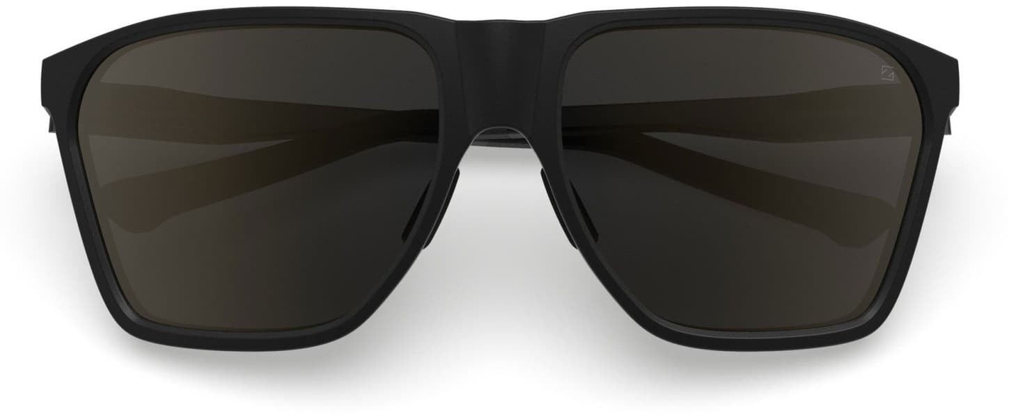 Anjan Sunglasses Black with Polarized Brown Lens, view: 4