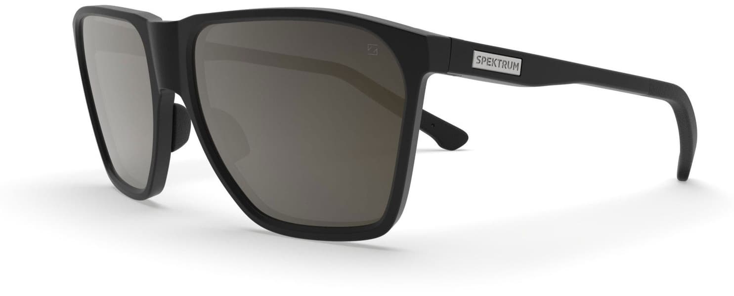 Anjan Sunglasses Black with Polarized Brown Lens, view: 0