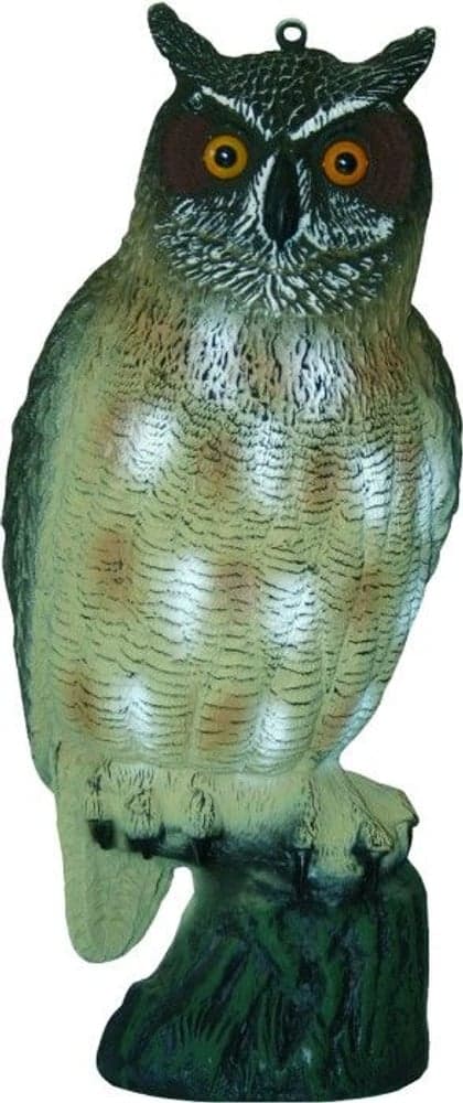 Bulvan Berguv Stor, view: 0