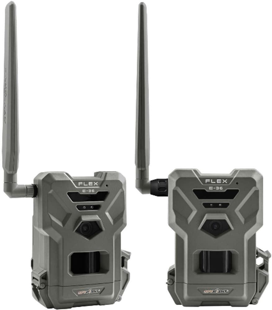 FLEX E-36 Twin-Pack, view: 0