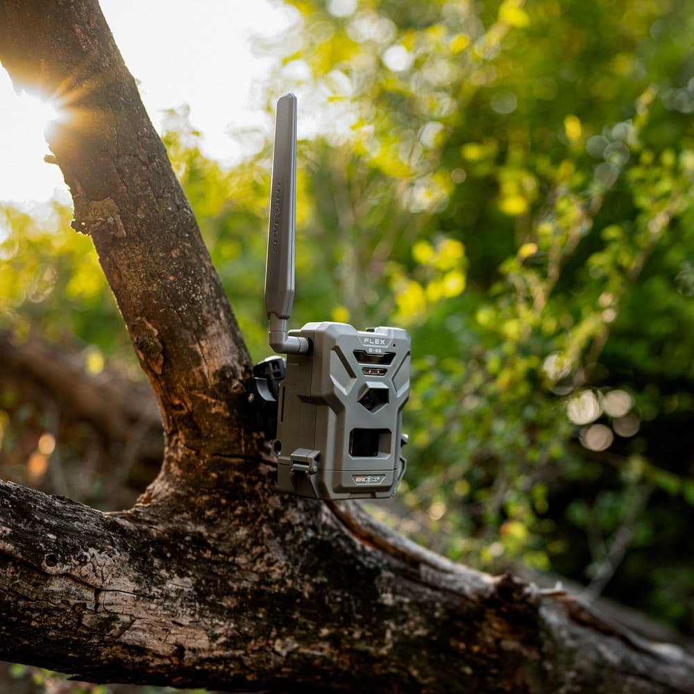 FLEX E-36 Twin-Pack, view: 10