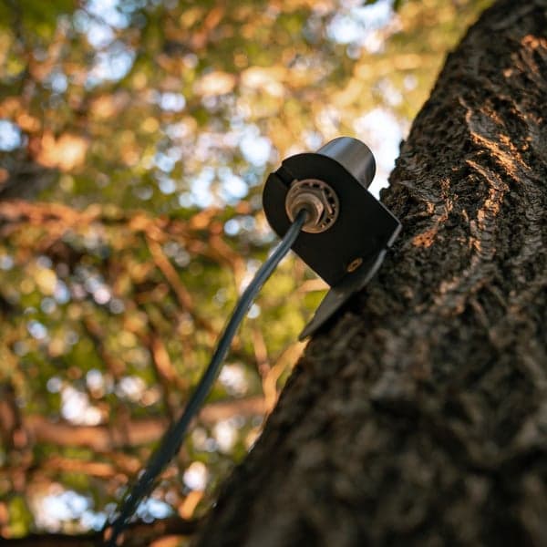 Long Range Antenna, view: 3