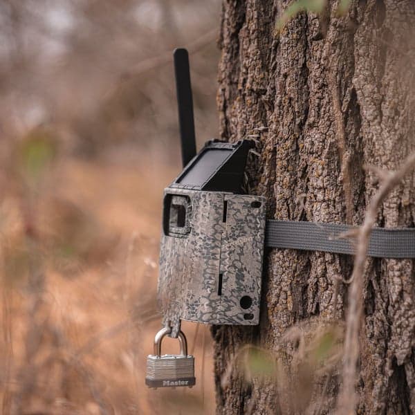 Security Box SB-300s, view: 8