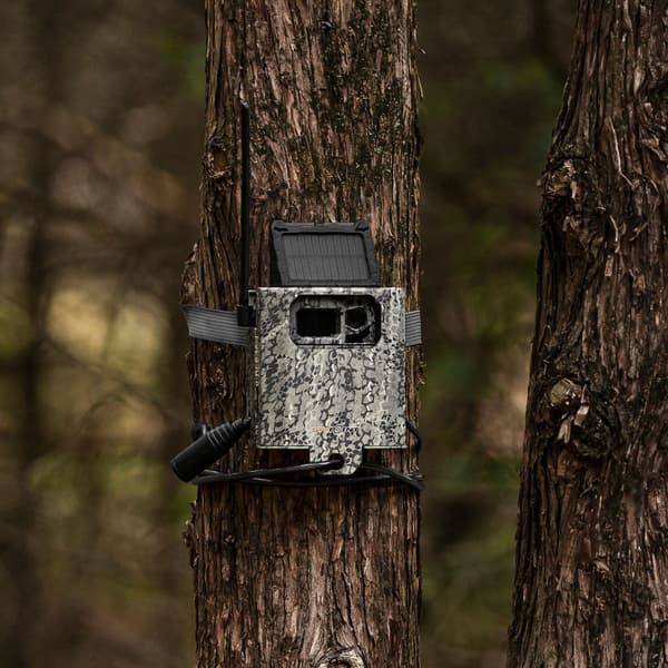 Security Box SB-300s, view: 7