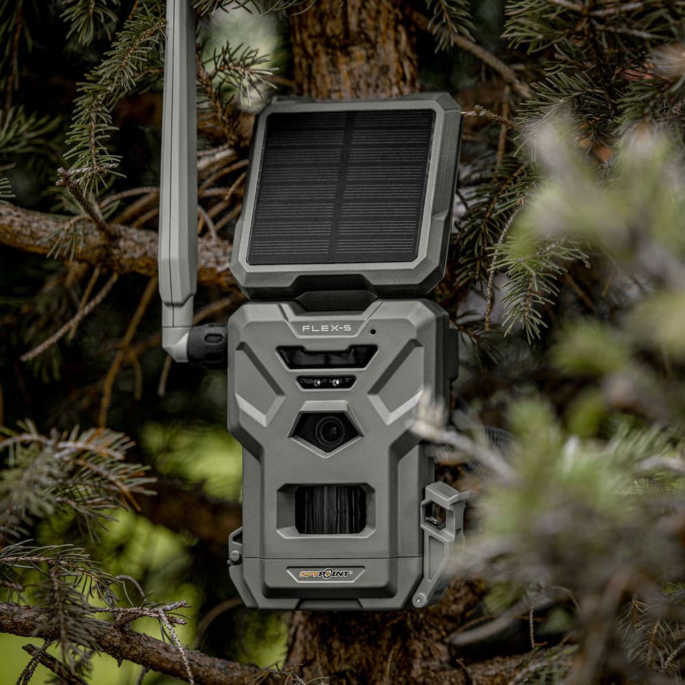 FLEX-S, view: 11