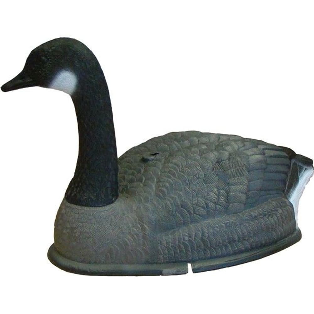 Bulvan Kanadagås 6-pack, view: 0