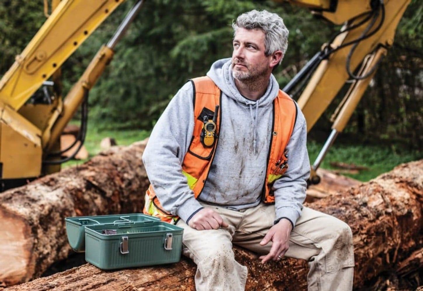 Classic Lunchbox 9.4L Hammertone Green, view: 3