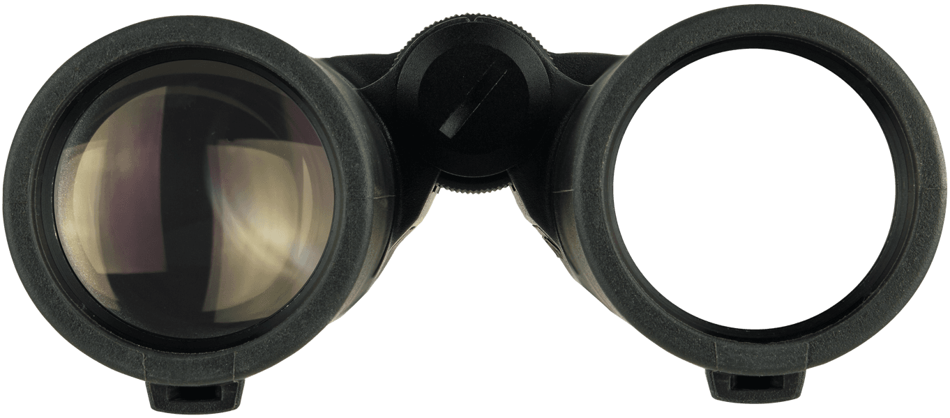 Ranger LRF 10x42, view: 5