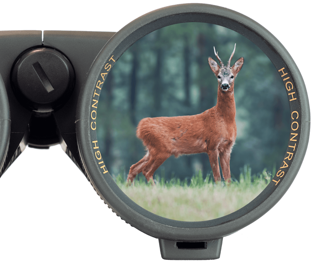 Ranger Xtreme 8x42, view: 3