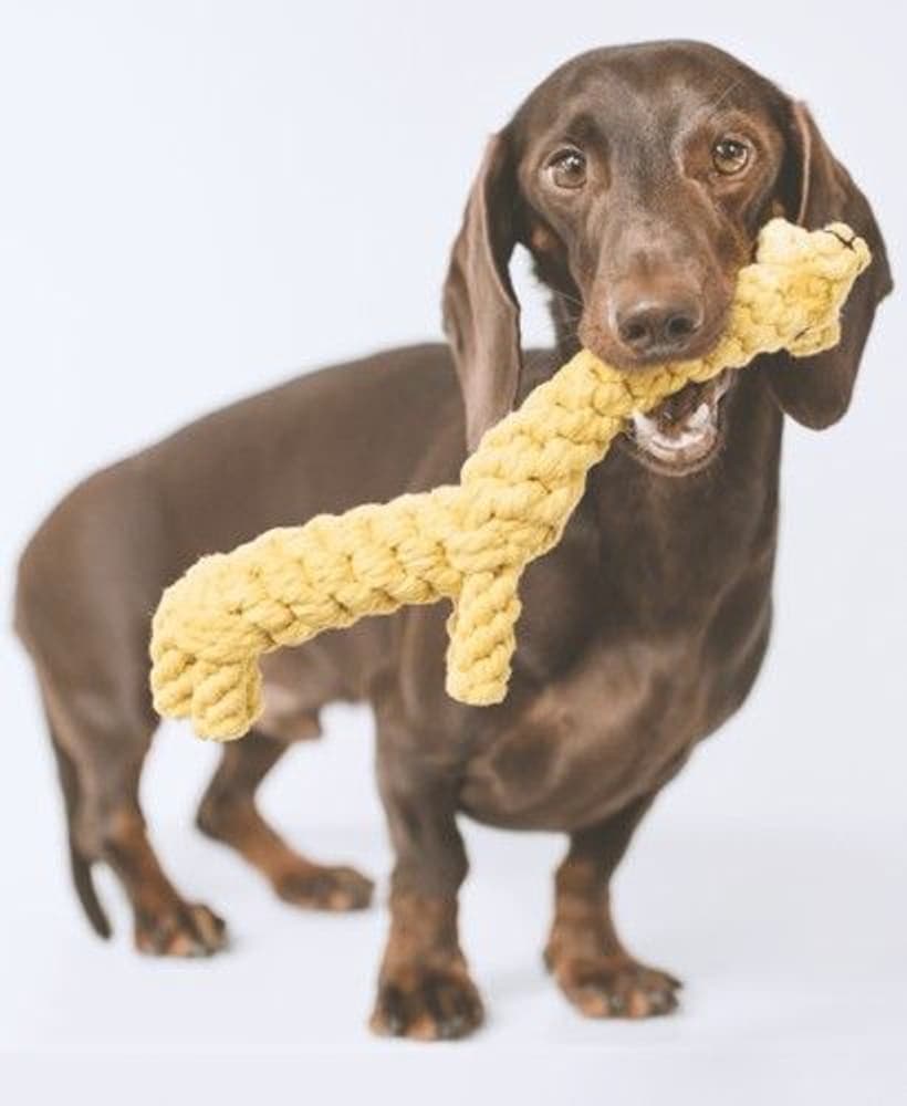 Giraffen Greta, view: 1