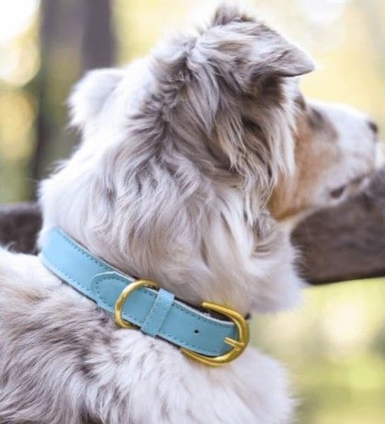 Färgglatt Halsband Turkos, view: 2