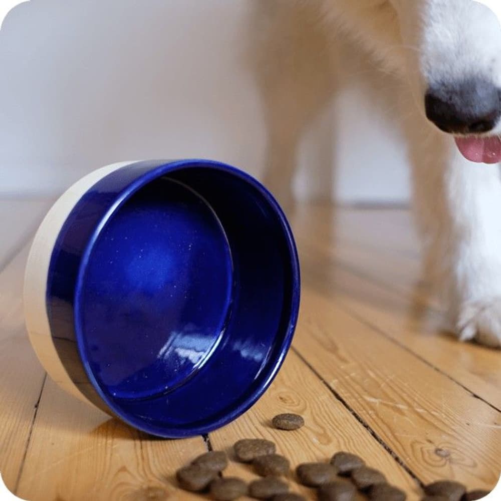 Käka Hundskål Stor Krämvit & Kobolt, view: 1