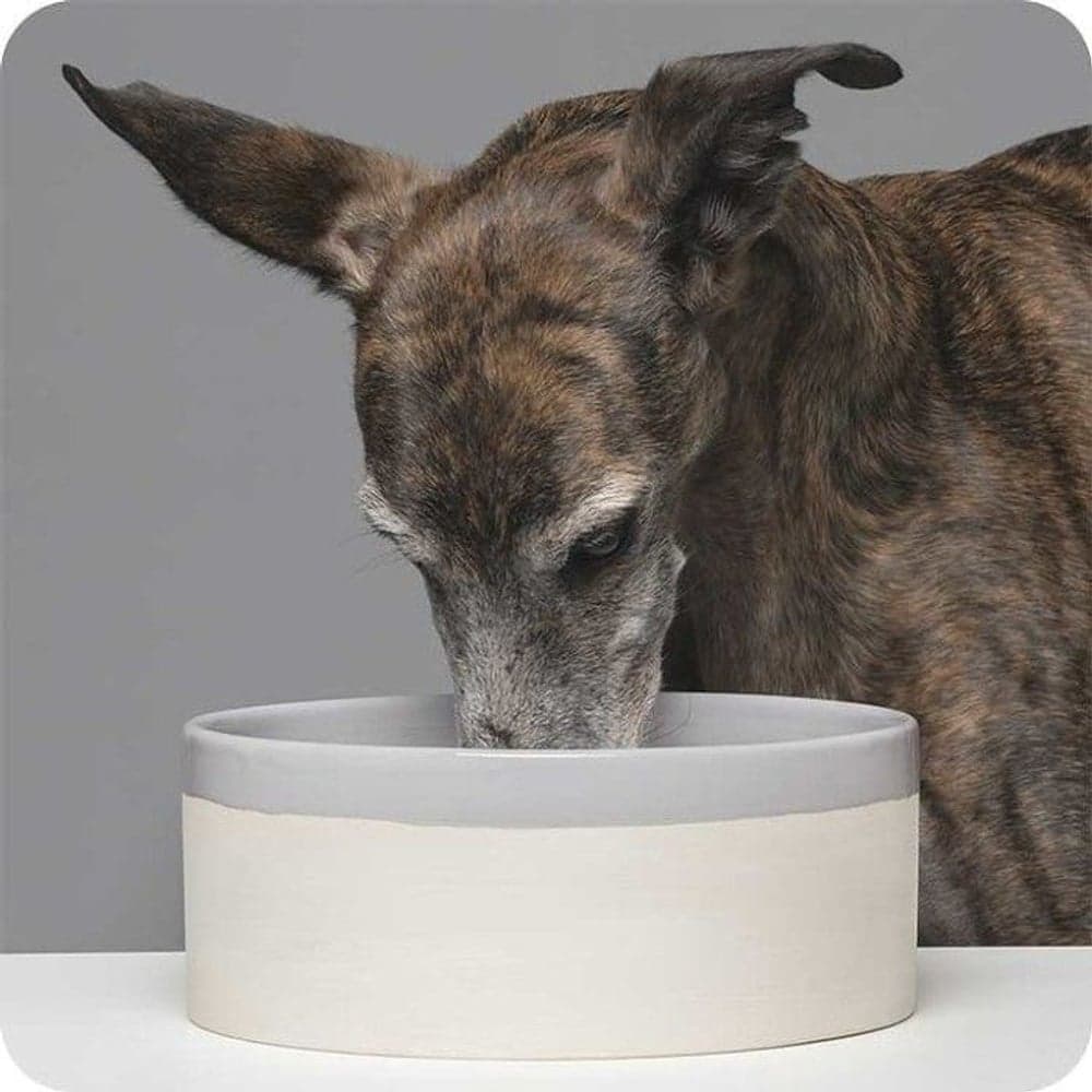 Käka Hundskål Stor Sandbeige & Fjädergrå, view: 1