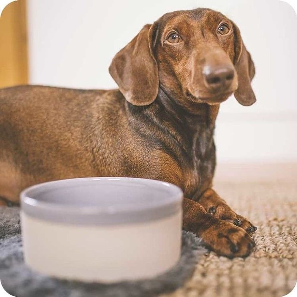 Käka Hundskål Liten Sandbeige & Fjädergrå, view: 1