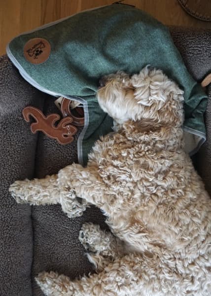 Pläd L Rymdgrå, view: 3