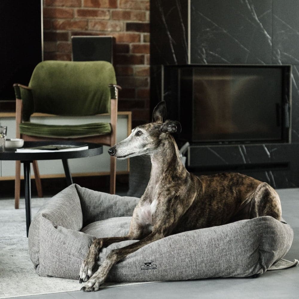 Mysig M Sälgrå, view: 5