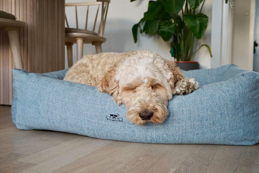 Mysig XL Sälgrå, view: 6