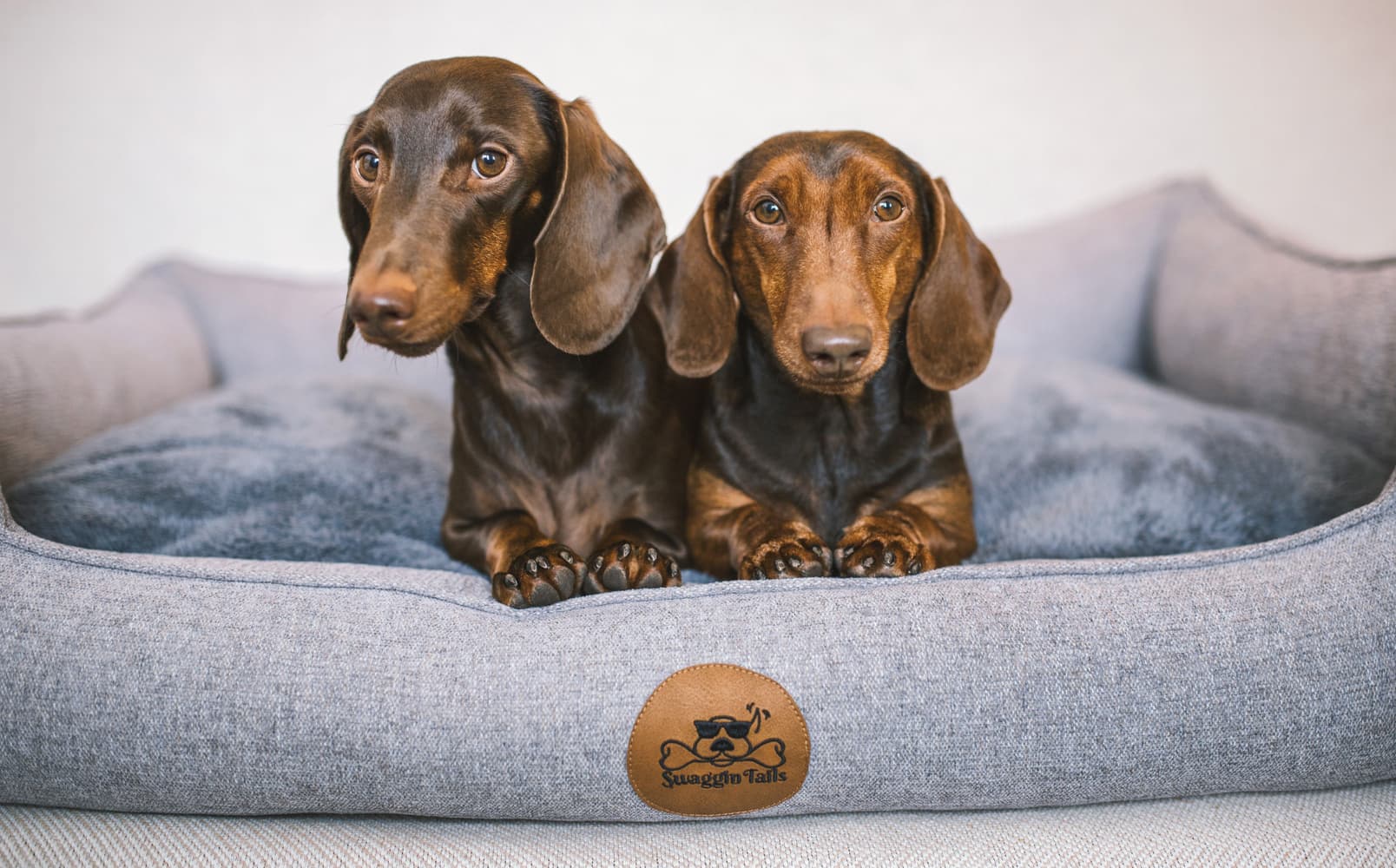 Sömnig L Rymdgrå, view: 2