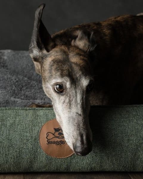 Sömnig L Skogsgrön, view: 3