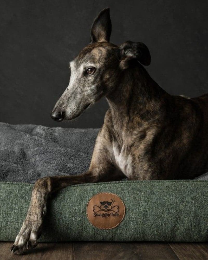 Sömnig M Skogsgrön, view: 3