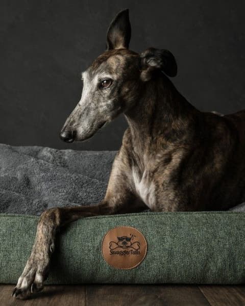 Sömnig M Skogsgrön, view: 3