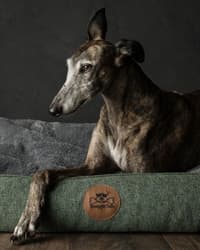 Sömnig M Skogsgrön - view: 3