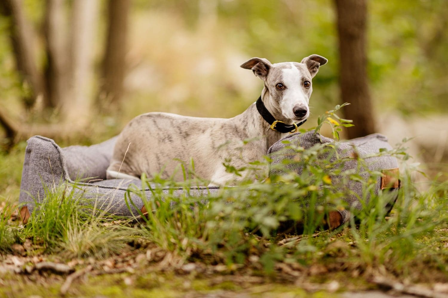 Sömnig S Rymdgrå, view: 4