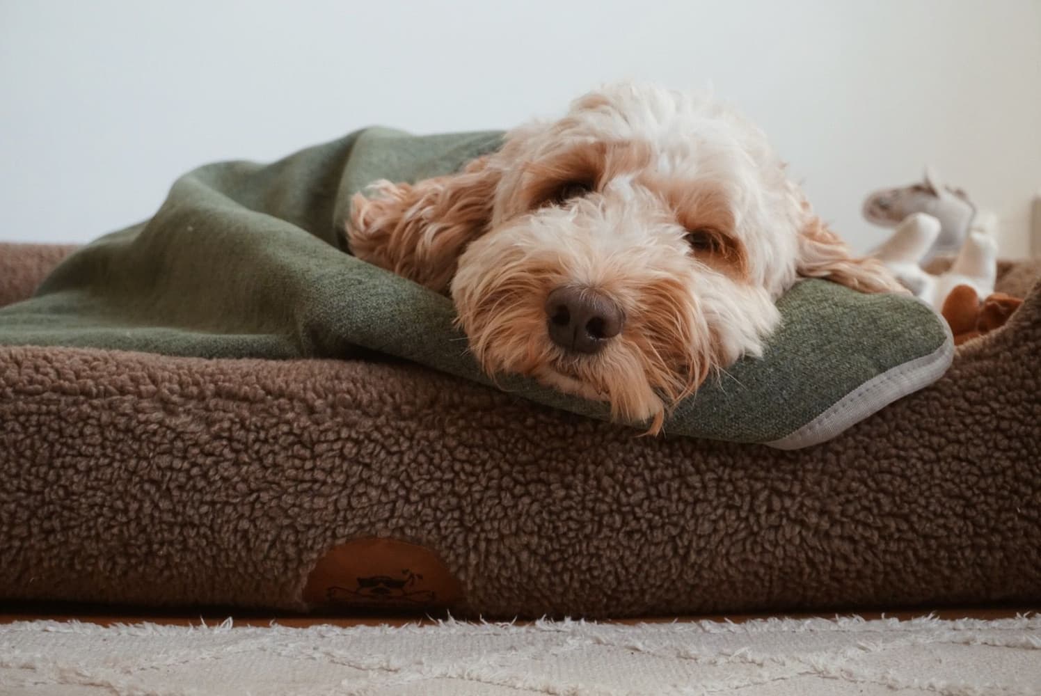 Drömmig S Molnvit, view: 2