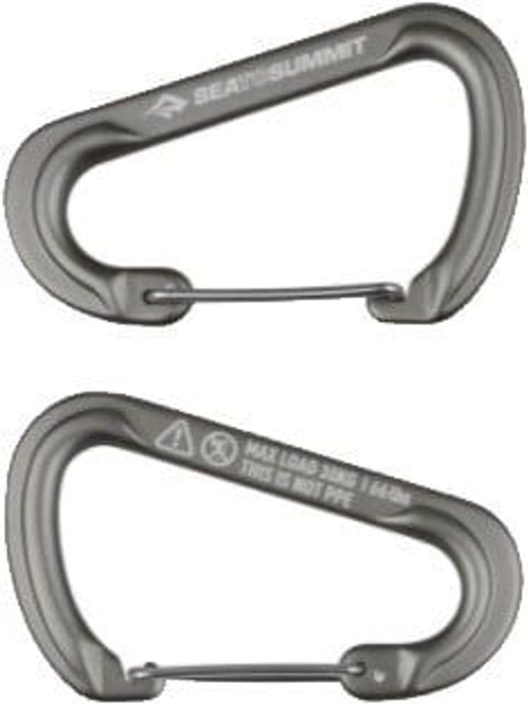 Large Carabiner 2-Pack, view: 0