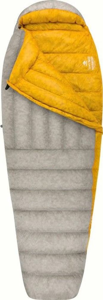 Down Spark SpIII -8°C Long, view: 1