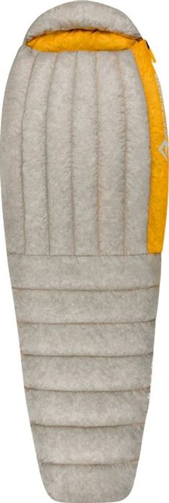 Down Spark SpI 5°C Regular, view: 0