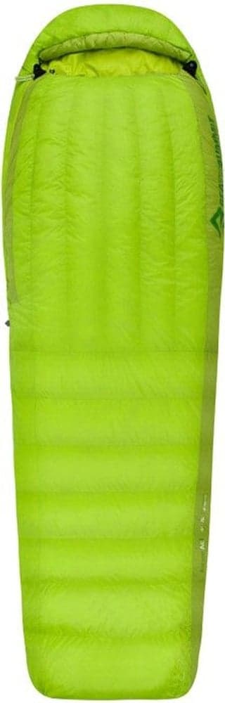 Down Ascent ACI -4°C Regular, view: 0