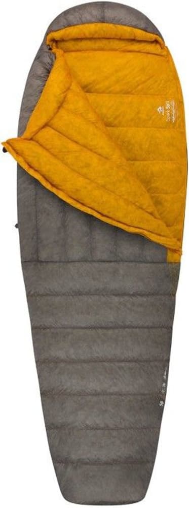 Down Spark SpII -2°C Regular, view: 1