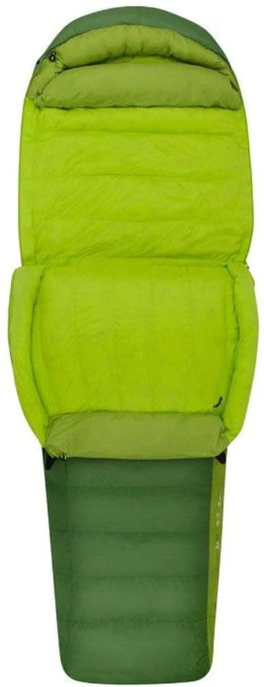 Down Ascent ACIII -18°C Regular, view: 2