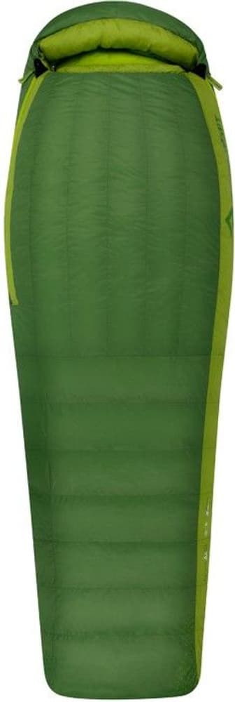 Down Ascent ACIII -18°C Regular, view: 0