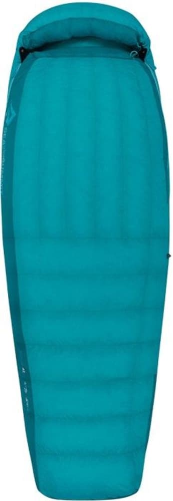 W's Down Altitude At I -4°C Long, view: 0