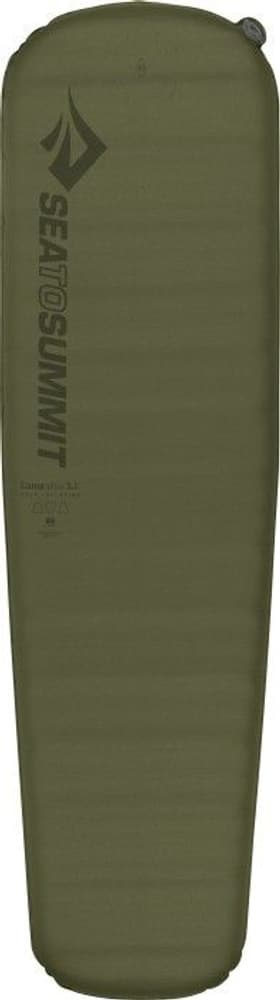 Selfinflate Mat Camp Plus -13°C Medium, view: 0