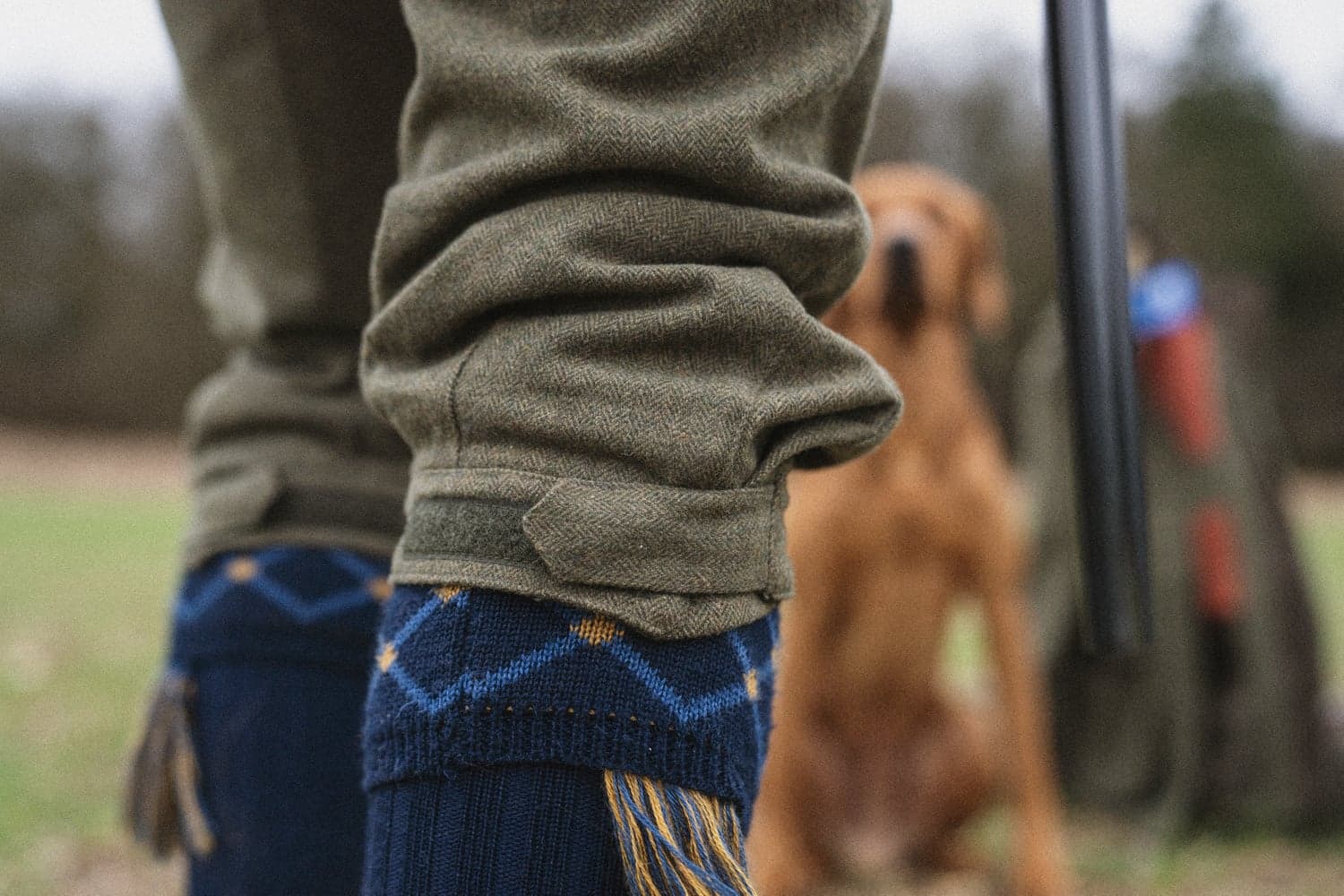 W's Hillside Harriet Trouser Moss Green, view: 7